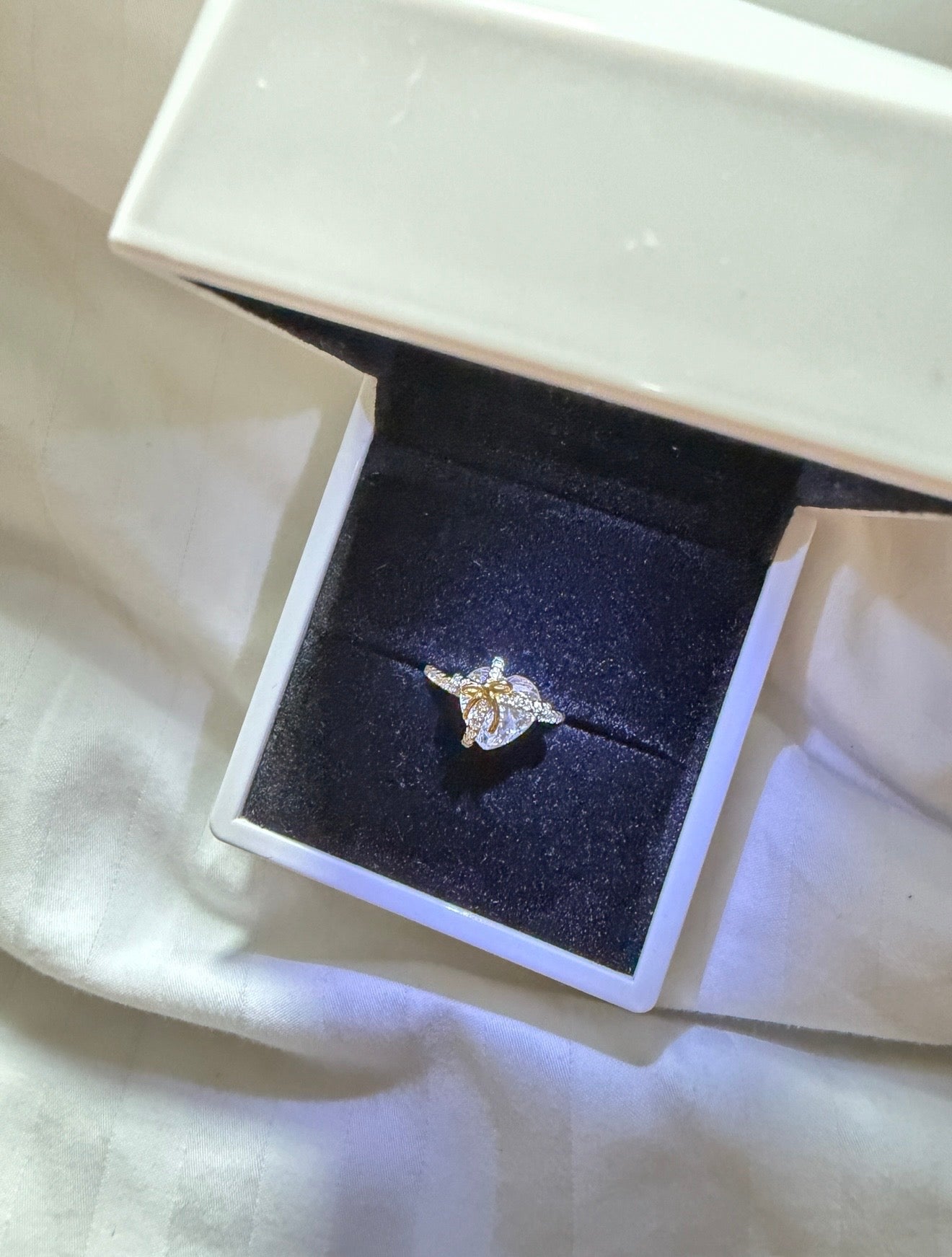 Heart Promise